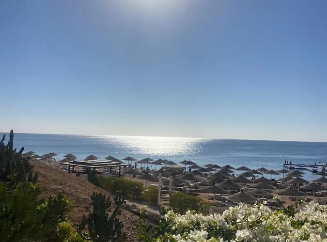 Domina Coral Bay 4*