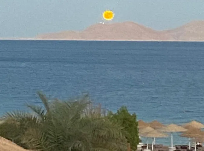 Domina Coral Bay 4*