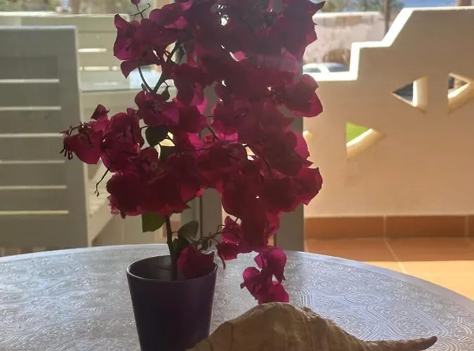 Szálloda Domina Coral Bay Sarm es-Sejk