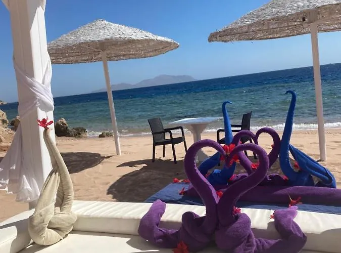 Domina Coral Bay 4*